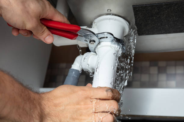 Best Water damage restoration mold remediation  in West Little River, FL