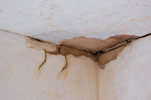 Best Water damage contractors near me  in West Little River, FL