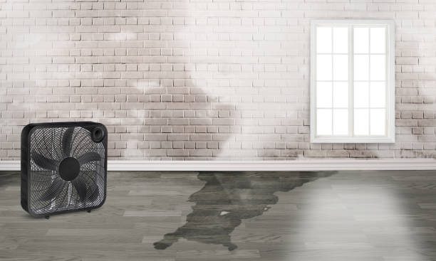 Best Commercial water damage restoration  in West Little River, FL