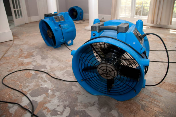 Best Sewage cleanup and water damage restoration  in West Little River, FL