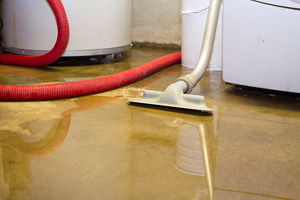 Best Local water damage restoration  in West Little River, FL
