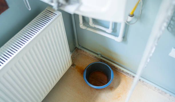 Best 24/7 water damage repair  in West Little River, FL