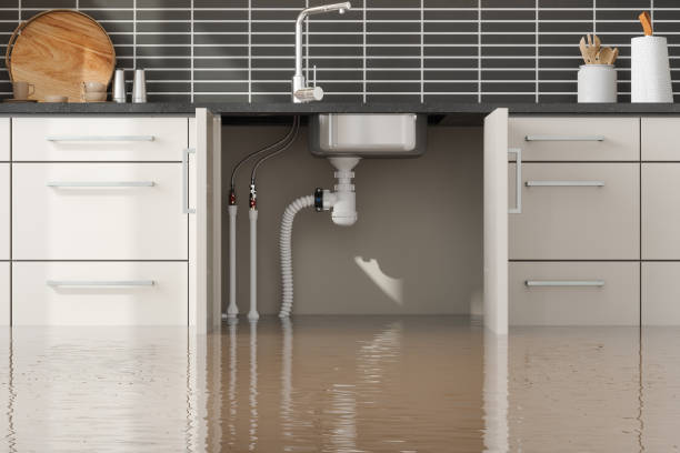 Best Water damage cleanup near me  in West Little River, FL
