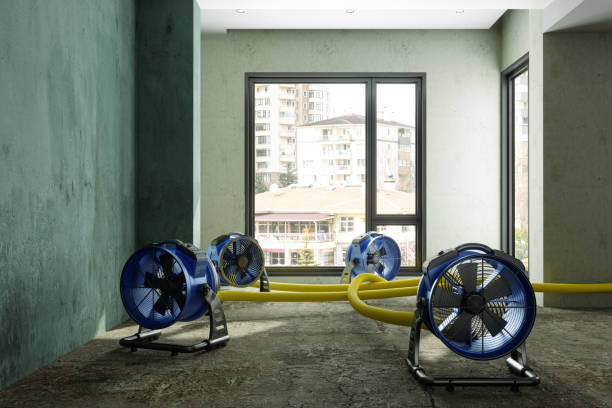 Best Sewage cleanup and water damage restoration  in West Little River, FL