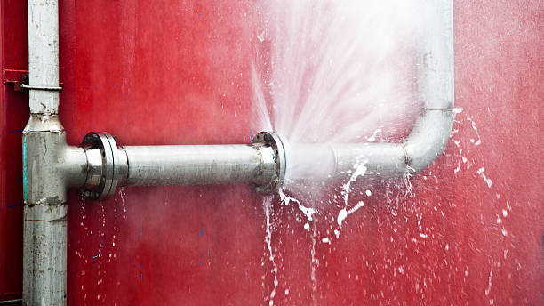 Best Flooded house restoration  in West Little River, FL